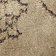 Signature Fleur Acacia 39